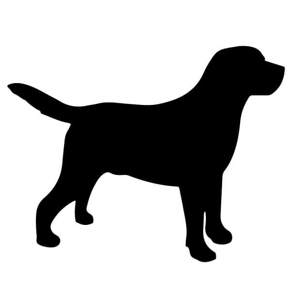 Adesivo Cane Labrador