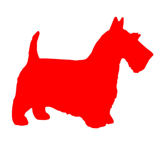 Adesivo Cane Scottish Terrier