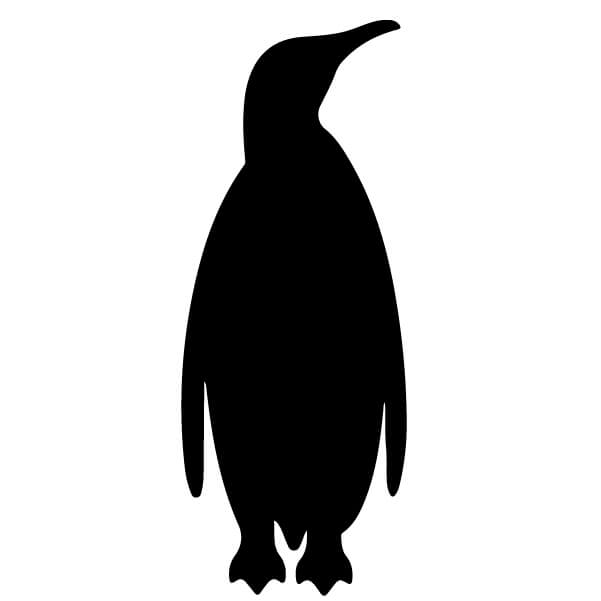 Adesivo Pinguino