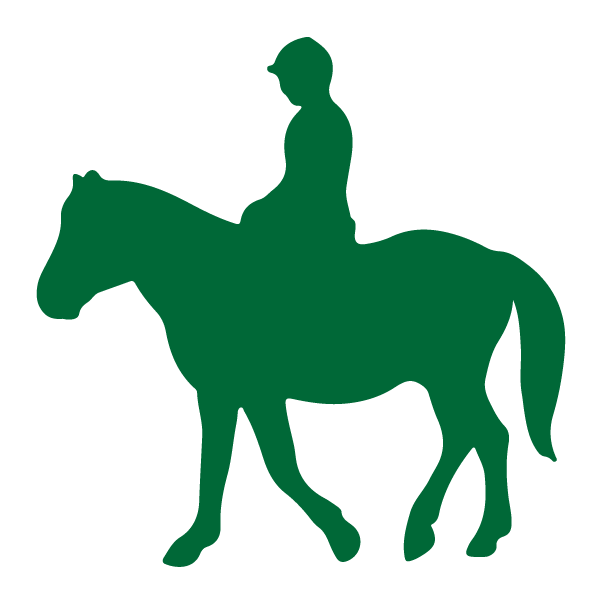 Adesivo Equitazione Cavallo