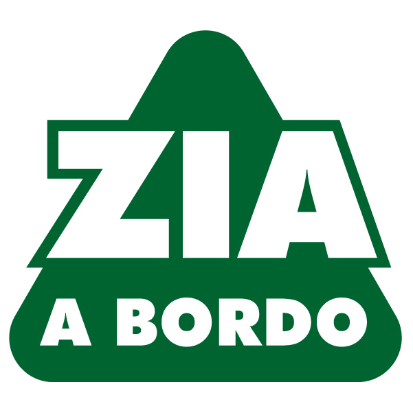 Adesivo Zia a Bordo