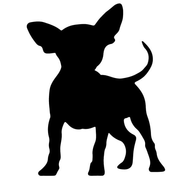 Adesivo Cane Chihuahua