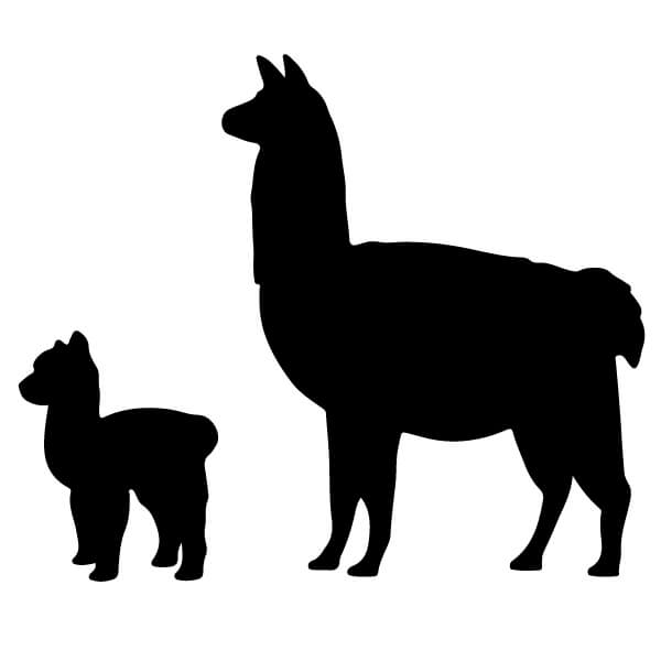 Adesivo Alpaca con Cucciolo